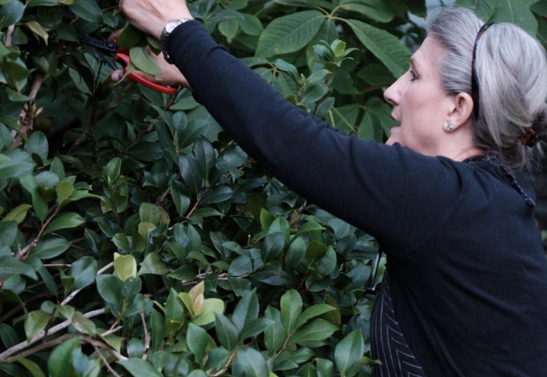 Grace Cardona caucasian woman clipping greenery from bushes