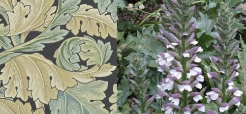 Comparing the wallpaper to the flowers in the garden