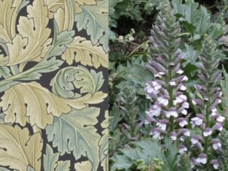 Comparing the wallpaper to the flowers in the garden