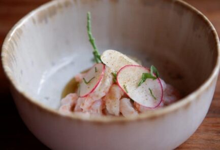 close up shrimp in neutral ceramic bowl with radish and green garnish on top
