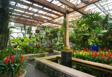 Orchid center at the Atlanta Botanical Garden by PIedmont Park