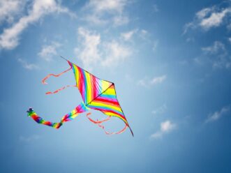 Kite in the sky at the Atlanta World Kite Festival in Piedmont Park